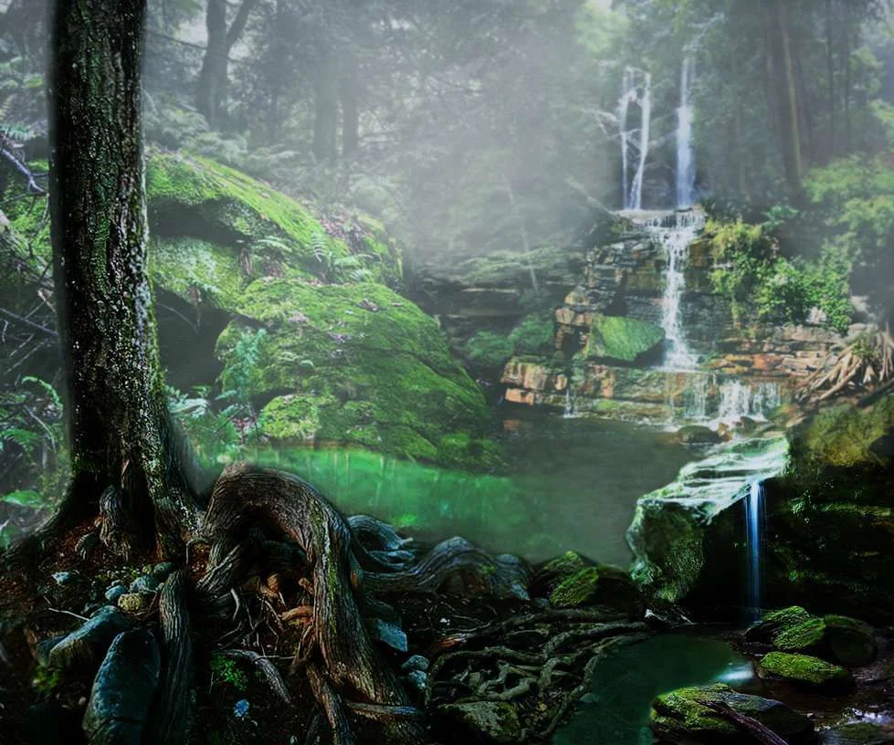 fantasy_forest_by_rhabwar_troll_stock-d2z7106.webp