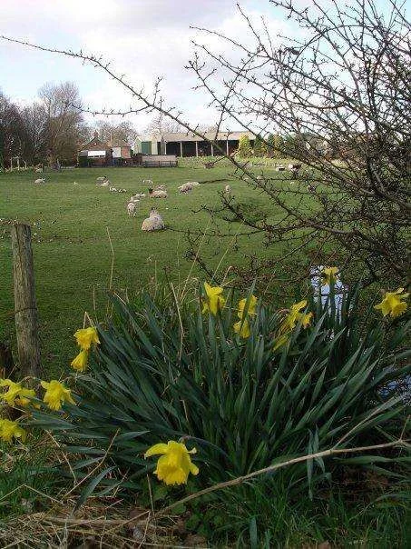 Farm JPEG.webp
