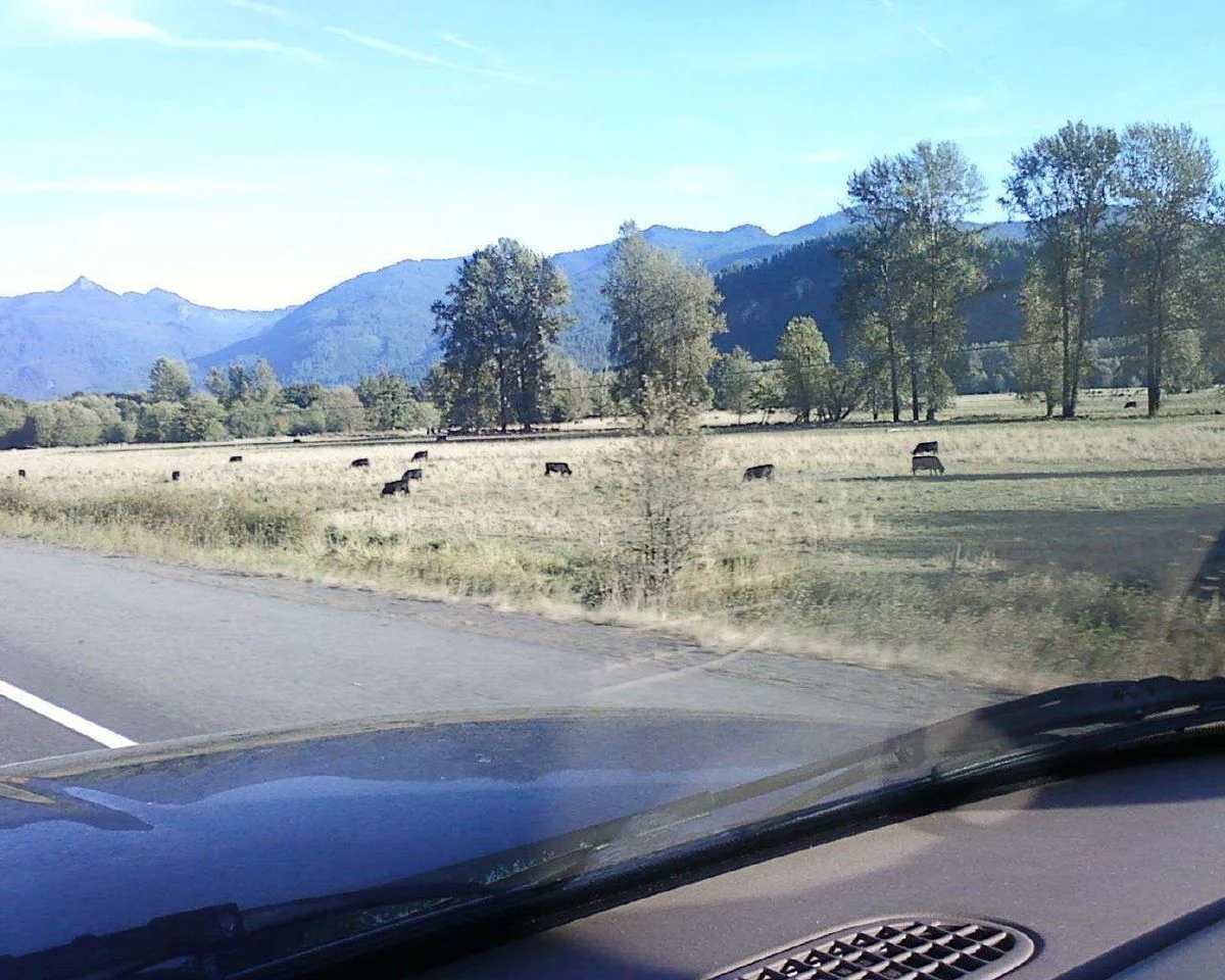 FARMLANDS.webp