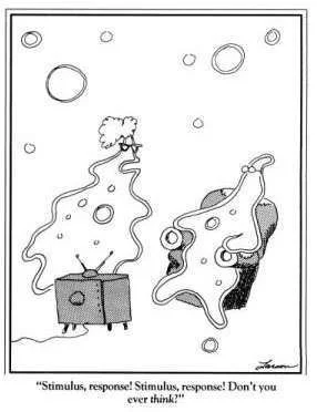 farside_ameo1.webp