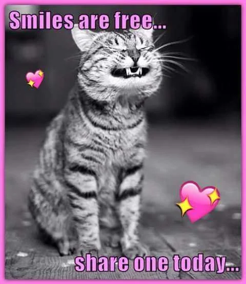 FB_IMG_1455968008139.webp
