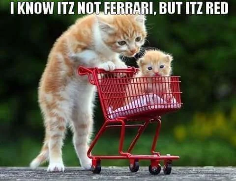 FB_IMG_1455968114441.webp