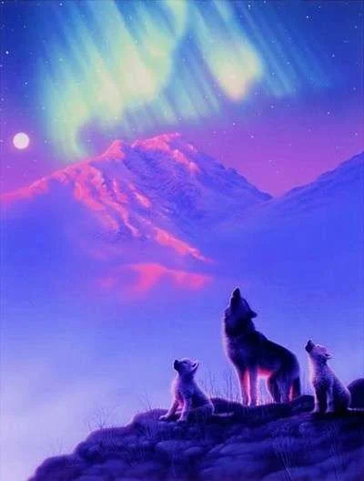 fc49757634da66fb6a03acda3bf0bb92.webp
