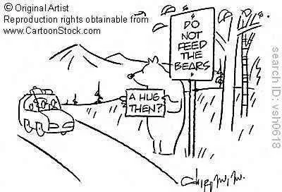 feedbears.webp