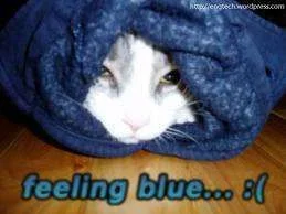 feeling blue.webp