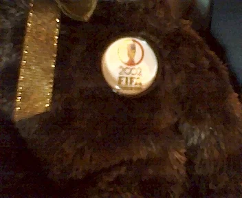 FIFAbear.webp