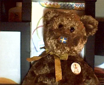 FIFAbear2.webp