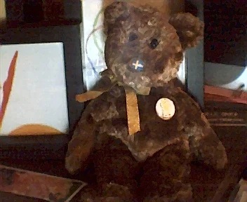 FIFAbear3.webp