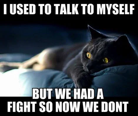 Fight.webp