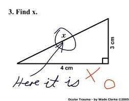 find x.webp