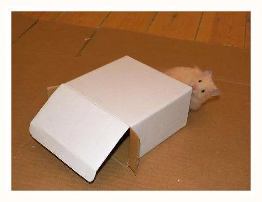 finnbox.webp