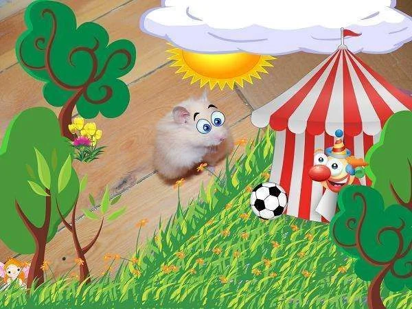 Finney goes to the circus.webp