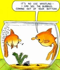 fish bubbles.webp