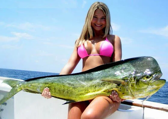 fishing-l.webp