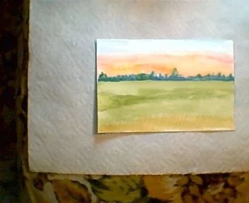 Flatlands n Forests.webp