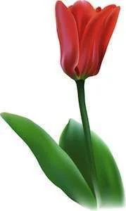Flower10.webp