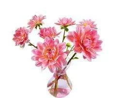 flower4.webp