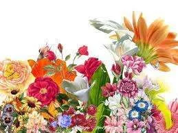 flower5.webp