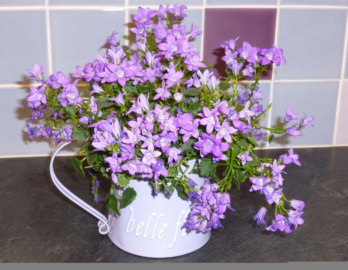 Flowers from Crafty Cath.webp