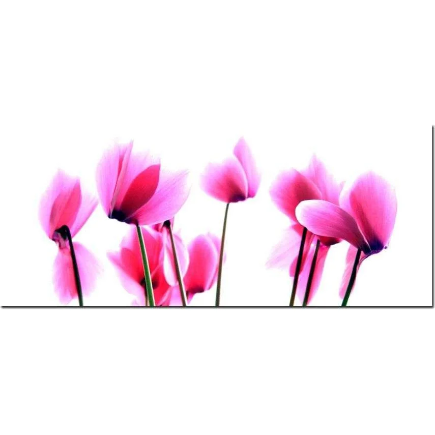 flowers-pretty-colour-canvas-11817-1132_zoom.webp