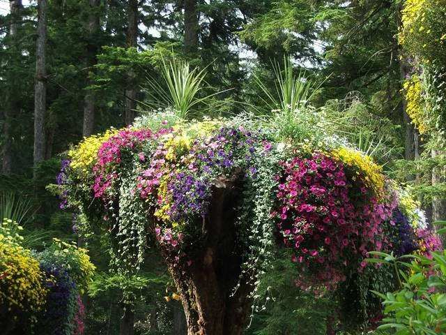 FlowerTower640x480.webp