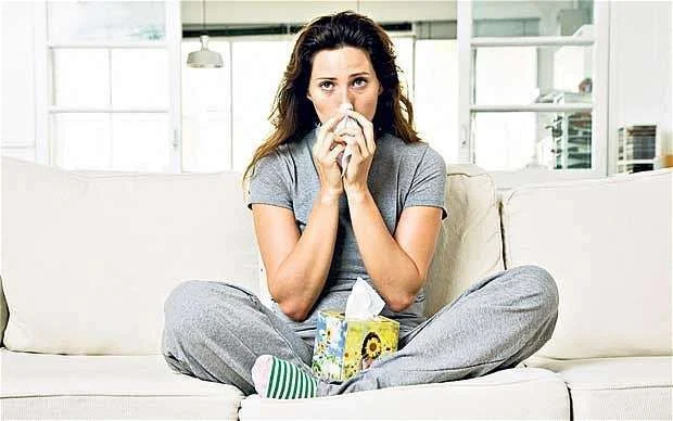 flu-1_1796626b.webp