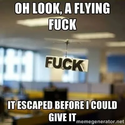 flyin fuk.webp