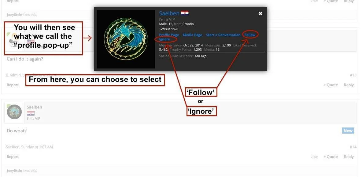 follow or ignore profile popup .webp