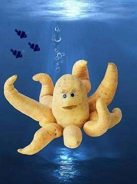 food-fun-14.webp
