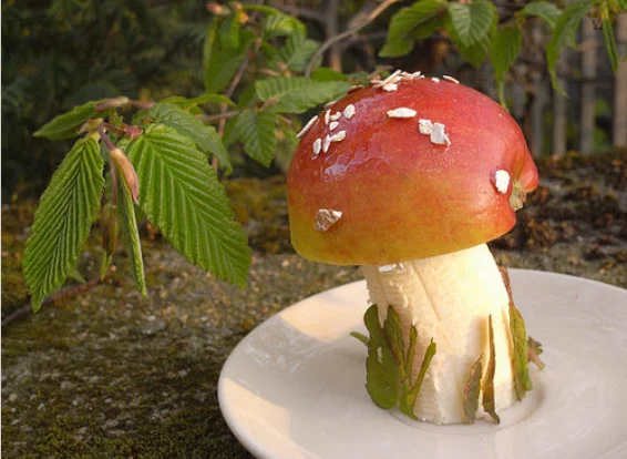 food mushroom.webp