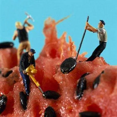 Food_Up_Close_1.webp