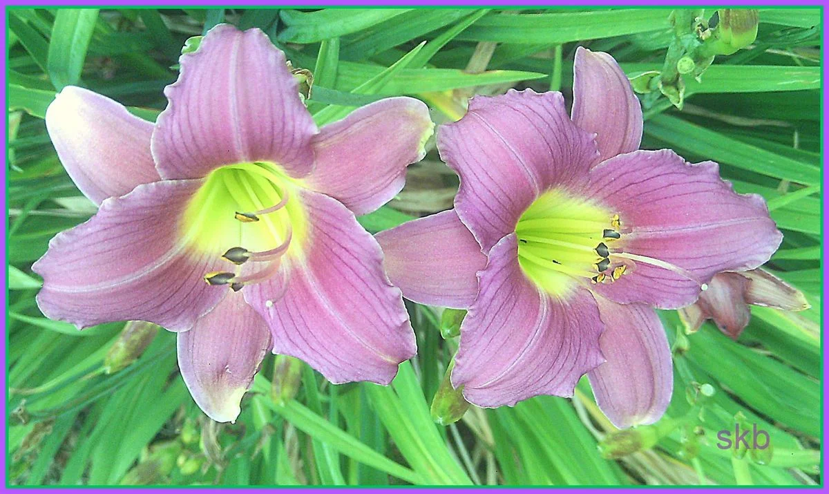 For A Rainy Day.webp