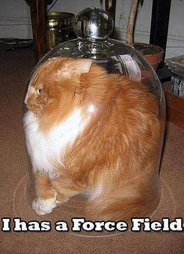 forcefield.webp