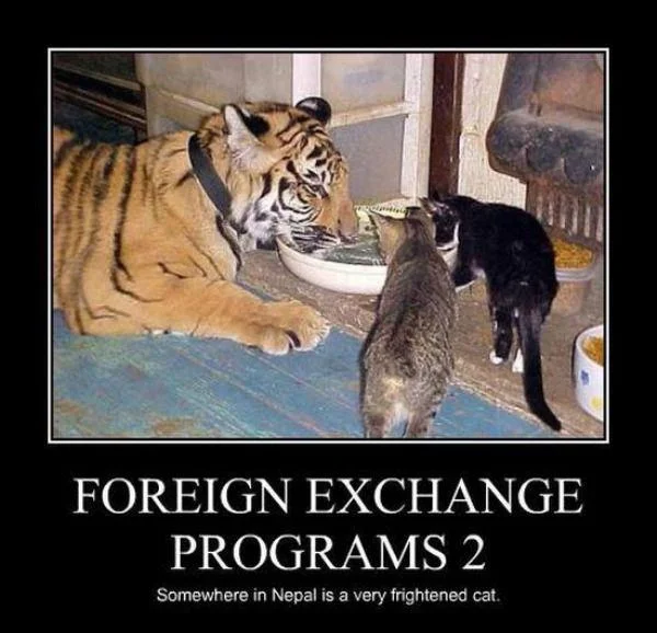 Foreign Exchange.webp