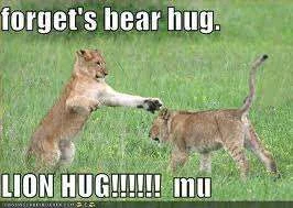 Forget bear hugs.webp