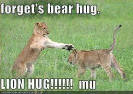 Forget bear hugs.webp