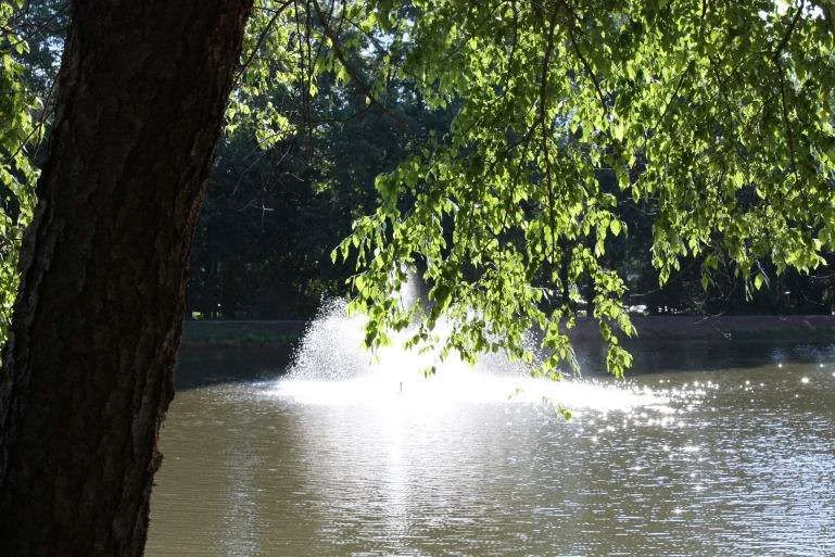 fountain1.webp