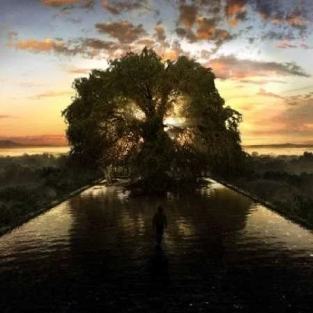 fountain_tree_of_life.webp