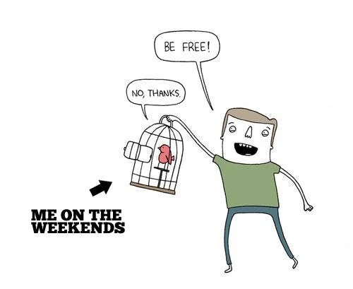 free bird.webp