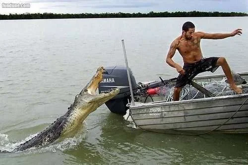 fresh catch.webp