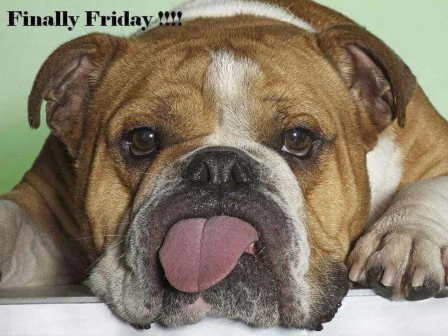 friday.webp