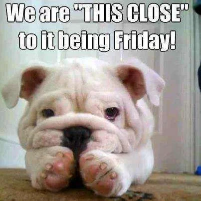 friday.webp