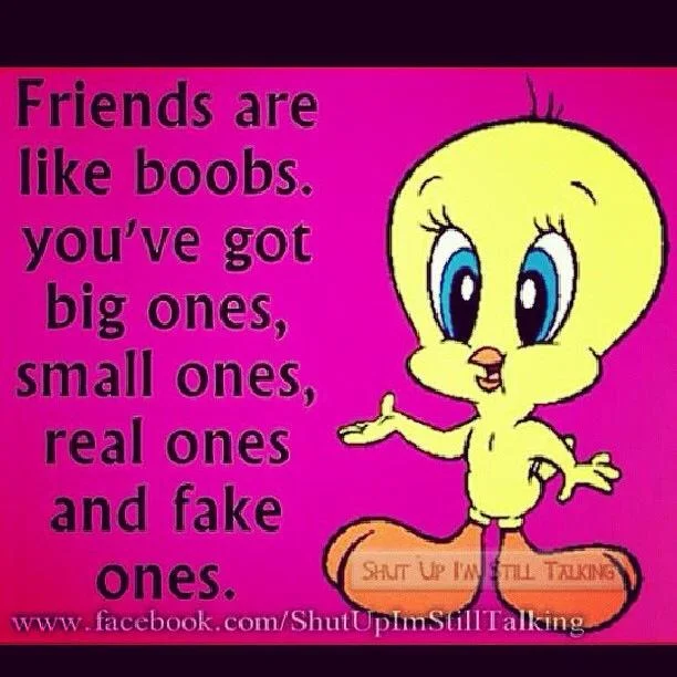 friends like boobs.webp