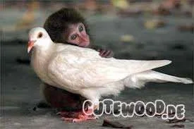 friends.webp