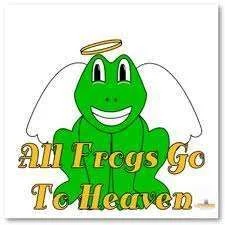 frog angel.webp