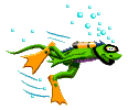 frog-gif-%20(26).gif