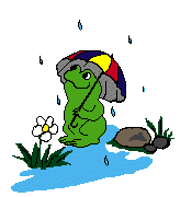 frog-gif-%20(36).gif