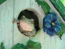 frog house.webp