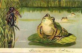 Frog listening to fiddler.webp
