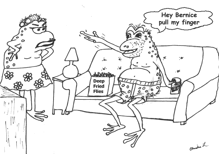 frog-on-couch.gif